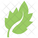 پیش‌نمایش فایل bolleana-poplar-leaf از پک برگ‌ها