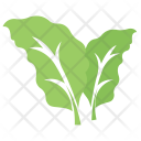 پیش‌نمایش فایل boolean-poplar-leaves از پک برگ‌ها
