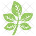 پیش‌نمایش فایل compound-leaves از پک برگ‌ها