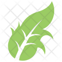 پیش‌نمایش فایل dandelion-leaf از پک برگ‌ها
