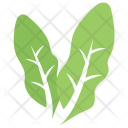 پیش‌نمایش فایل elaeagnus-angustifolia-leaves از پک برگ‌ها