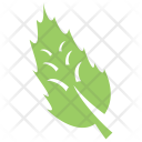 پیش‌نمایش فایل fir-leaf از پک برگ‌ها