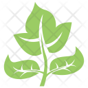پیش‌نمایش فایل generic-leaf-1 از پک برگ‌ها