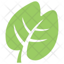 پیش‌نمایش فایل generic-leaf از پک برگ‌ها