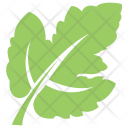 پیش‌نمایش فایل grape-leaf از پک برگ‌ها
