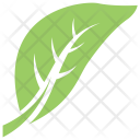 پیش‌نمایش فایل hack-berry-leaf از پک برگ‌ها