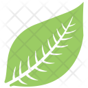 پیش‌نمایش فایل hevea-brasiliensis-leaf از پک برگ‌ها