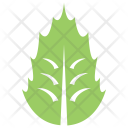 پیش‌نمایش فایل holly-leaf از پک برگ‌ها