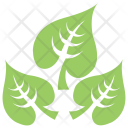 پیش‌نمایش فایل large-leaved-lime-1 از پک برگ‌ها