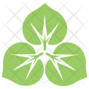 پیش‌نمایش فایل large-leaved-lime-2 از پک برگ‌ها