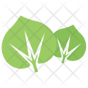 پیش‌نمایش فایل large-leaved-lime از پک برگ‌ها