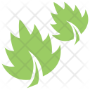 پیش‌نمایش فایل leaf-grass از پک برگ‌ها