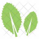 پیش‌نمایش فایل leaves-147 از پک برگ‌ها