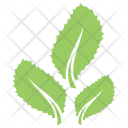 پیش‌نمایش فایل leaves-148 از پک برگ‌ها