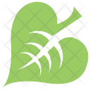 پیش‌نمایش فایل linden-leaf از پک برگ‌ها