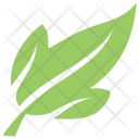 پیش‌نمایش فایل maple-leaf-30 از پک برگ‌ها