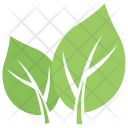 پیش‌نمایش فایل milkweed-leaf-1 از پک برگ‌ها