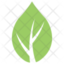 پیش‌نمایش فایل milkweed-leaf از پک برگ‌ها