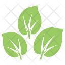 پیش‌نمایش فایل milkweed-leaves-1 از پک برگ‌ها
