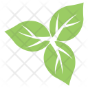 پیش‌نمایش فایل milkweed-leaves-2 از پک برگ‌ها