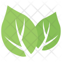 پیش‌نمایش فایل milkweed-leaves از پک برگ‌ها
