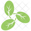 پیش‌نمایش فایل moringa-leaves از پک برگ‌ها