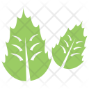 پیش‌نمایش فایل oak-leaves از پک برگ‌ها