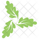 پیش‌نمایش فایل oak-swirl-leaves از پک برگ‌ها