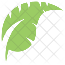 پیش‌نمایش فایل palm-leaf از پک برگ‌ها
