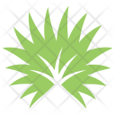 پیش‌نمایش فایل palmetto-leaf از پک برگ‌ها