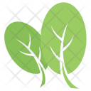 پیش‌نمایش فایل spatula-leaves از پک برگ‌ها