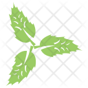 پیش‌نمایش فایل swirl-leaves-1 از پک برگ‌ها