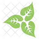 پیش‌نمایش فایل swirl-leaves از پک برگ‌ها