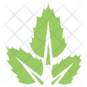 پیش‌نمایش فایل three-leaves از پک برگ‌ها