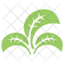 پیش‌نمایش فایل tripartite-leaf-1 از پک برگ‌ها