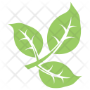 پیش‌نمایش فایل tripartite-leaf-2 از پک برگ‌ها