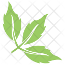 پیش‌نمایش فایل tripartite-leaf از پک برگ‌ها