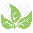 پیش‌نمایش فایل tripartite-leaves از پک برگ‌ها
