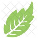 پیش‌نمایش فایل veppilai-leaf از پک برگ‌ها