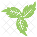 پیش‌نمایش فایل veppilai-leaves-1 از پک برگ‌ها