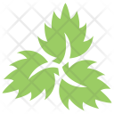 پیش‌نمایش فایل veppilai-leaves از پک برگ‌ها