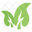 پیش‌نمایش فایل apple-leaves از پک برگ‌ها