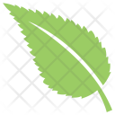 پیش‌نمایش فایل ash-leaf-1 از پک برگ‌ها