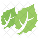 پیش‌نمایش فایل bigtooth-aspen-leaves از پک برگ‌ها