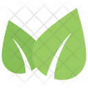 پیش‌نمایش فایل bipartite-leaf-3 از پک برگ‌ها