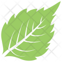پیش‌نمایش فایل birch-leaf-10 از پک برگ‌ها