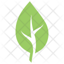 پیش‌نمایش فایل cherry-leaf از پک برگ‌ها