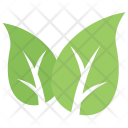 پیش‌نمایش فایل eco-leafs از پک برگ‌ها