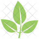 پیش‌نمایش فایل elm-leaves از پک برگ‌ها