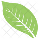 پیش‌نمایش فایل goat-willow-leaf از پک برگ‌ها
